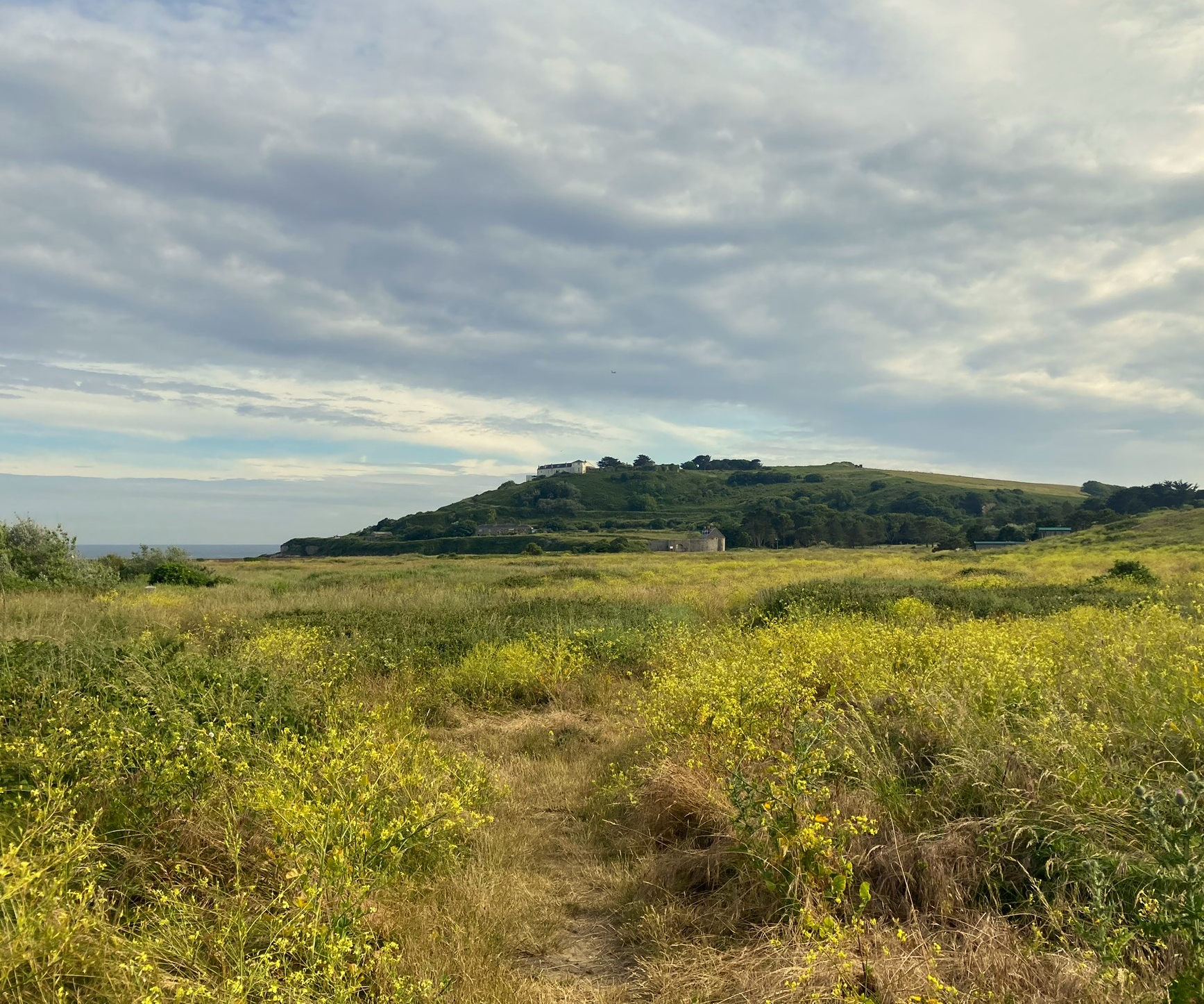 Longis Common (credit Poppy Emmens)