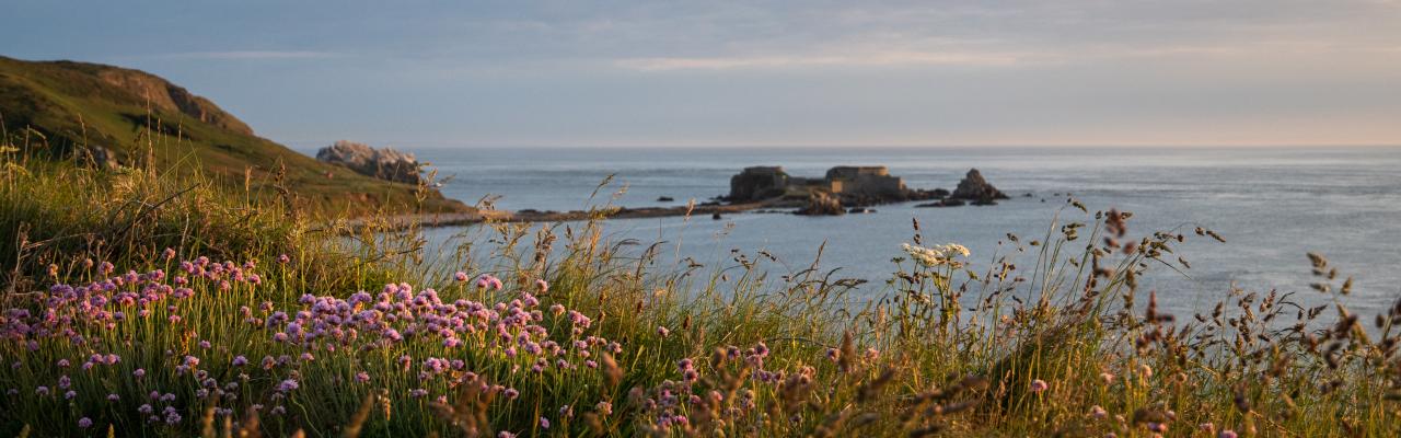 Clonque (credit: Joshua Copping)