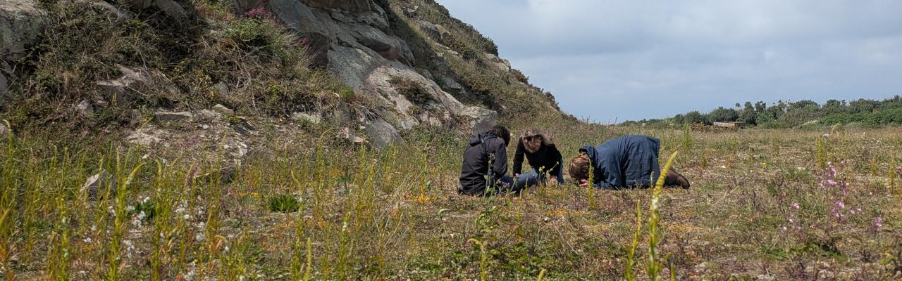 People conducting a survey (credit: Alderney Wildlife Trust)